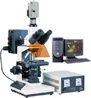 DFM-50C电脑型正置荧光显微镜的图片