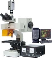 DFM-20C正置荧光显微镜的图片