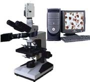 XSP-10CC透反射生物显微镜的图片