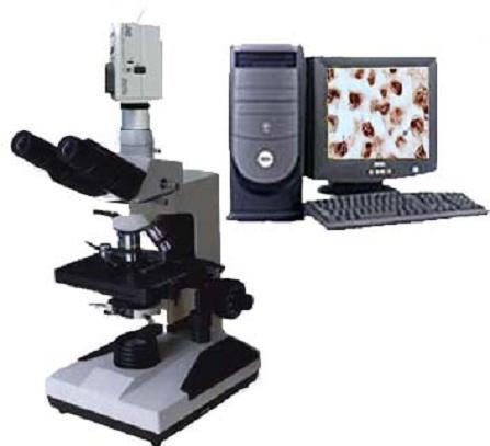 XSP-9CC电脑型生物显微镜的图片