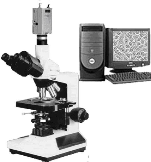 XSP-8CC电脑型生物显微镜的图片