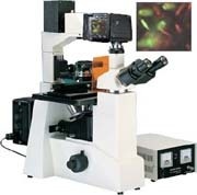 倒置荧光显微镜DFM-60D的图片