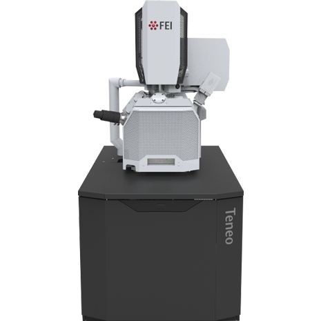 二手Thermo扫描电子显微镜SBFI的图片