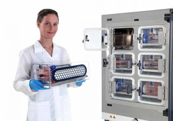 二手赛默飞蜂巢式CO2培养箱Cell Locker™的图片