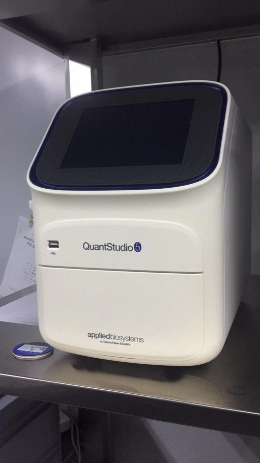 二手ABI荧光定量PCR仪QuantStudio5