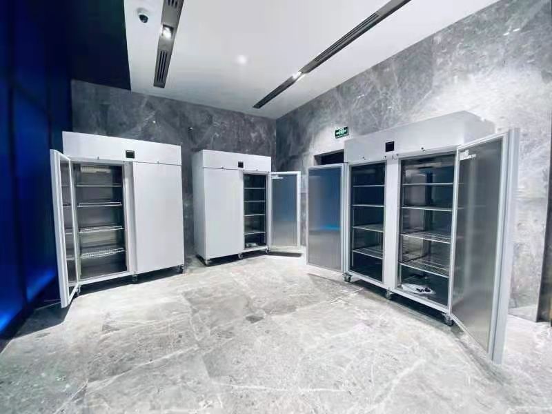 德国利勃海尔实验室冷冻箱LGPv1420的图片