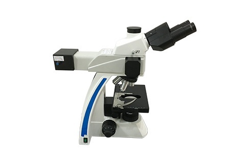 荧光显微镜MF31的图片