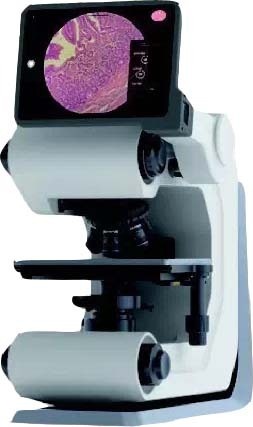 Echo Revolve明场显微镜的图片