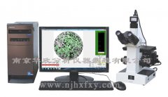 HX-JX2金相分析仪的图片