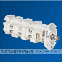 GPC4a-63-20-20-D8R四川长江液压齿轮泵