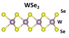 CVD氧化硅/硅基底单层二硒化钨的图片