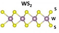 CVD二氧化硅/硅基底单层二硫化钨的图片