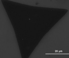 CVD氧化铝基底单层二硫化钼的图片