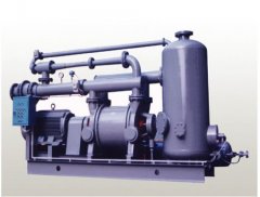 2BEA系列水环真空泵及压缩机的图片