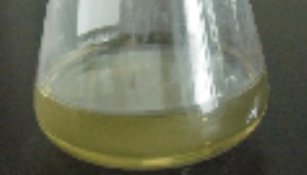 液態聚硅氮烷圖片