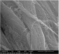 超高纯单壁碳纳米管（KYTNS-X）（浮动催化）的图片