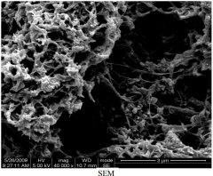 镀镍多壁碳纳米管镍含量大于60% CNTs粉体的图片