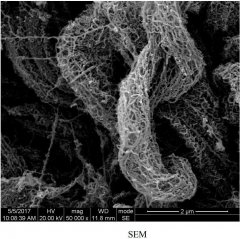 95%高纯大比表面积单壁碳纳米管粉体CNTs的图片