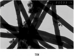 石墨化碳纤维碳纳米纤维CNTs的图片