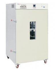 DHG-9920B-300℃鼓风干燥箱的图片