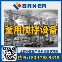 BRNER不锈钢搅拌罐（反应釜）-釜用搅拌设备 搅拌混合