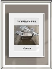 2SK系列全304水环泵的图片