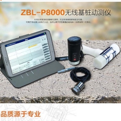 智博联ZBL-P8000无线基桩动测仪