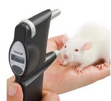 动物眼压测量仪