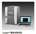 Axygen®凝胶成像系统GD-1000的图片
