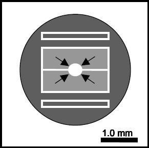 透射电镜校准标样的图片