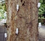 ARBOTOM®脉冲式树木断层成像仪的图片