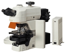 尼康(Nikon) 80i/90i正置显微镜的图片