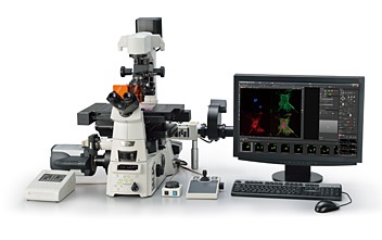 尼康50i/55i正置显微镜的图片