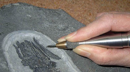美国paleoTools JACK化石修复气动针的图片