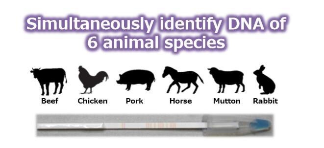 DNA多通道肉源/毛发物种鉴别试剂盒的图片
