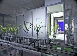 全自动高通量植物3D成像系统的图片