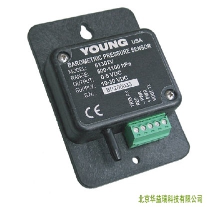 RM Young61302大气压力传感器的图片