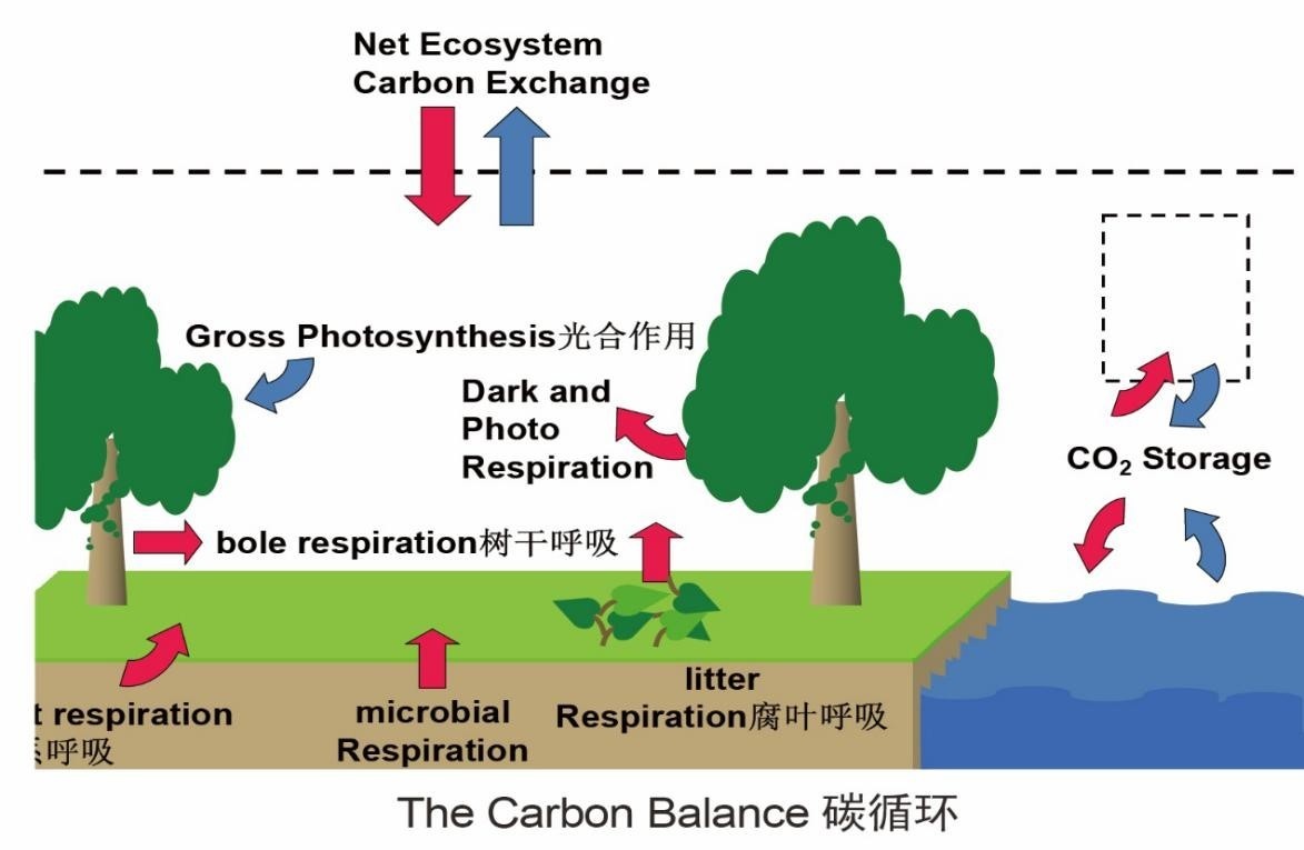 土壤剖面CO2廓线测量系统的图片