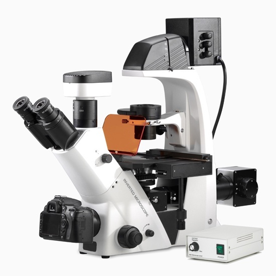 重庆奥特倒置荧光显微镜BDS500-FL的图片