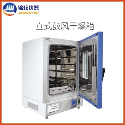 锦玟立式电热干燥箱LHG-9240A