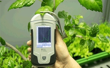 PolyPen手持式植物光谱仪的图片