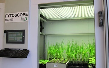 FytoScope FS-SI步入式植物生长箱的图片