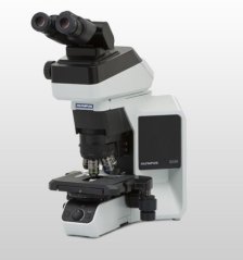 BX46 临床显微镜的图片