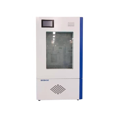 博科自产微生物恒温培养箱BJPX-100的图片