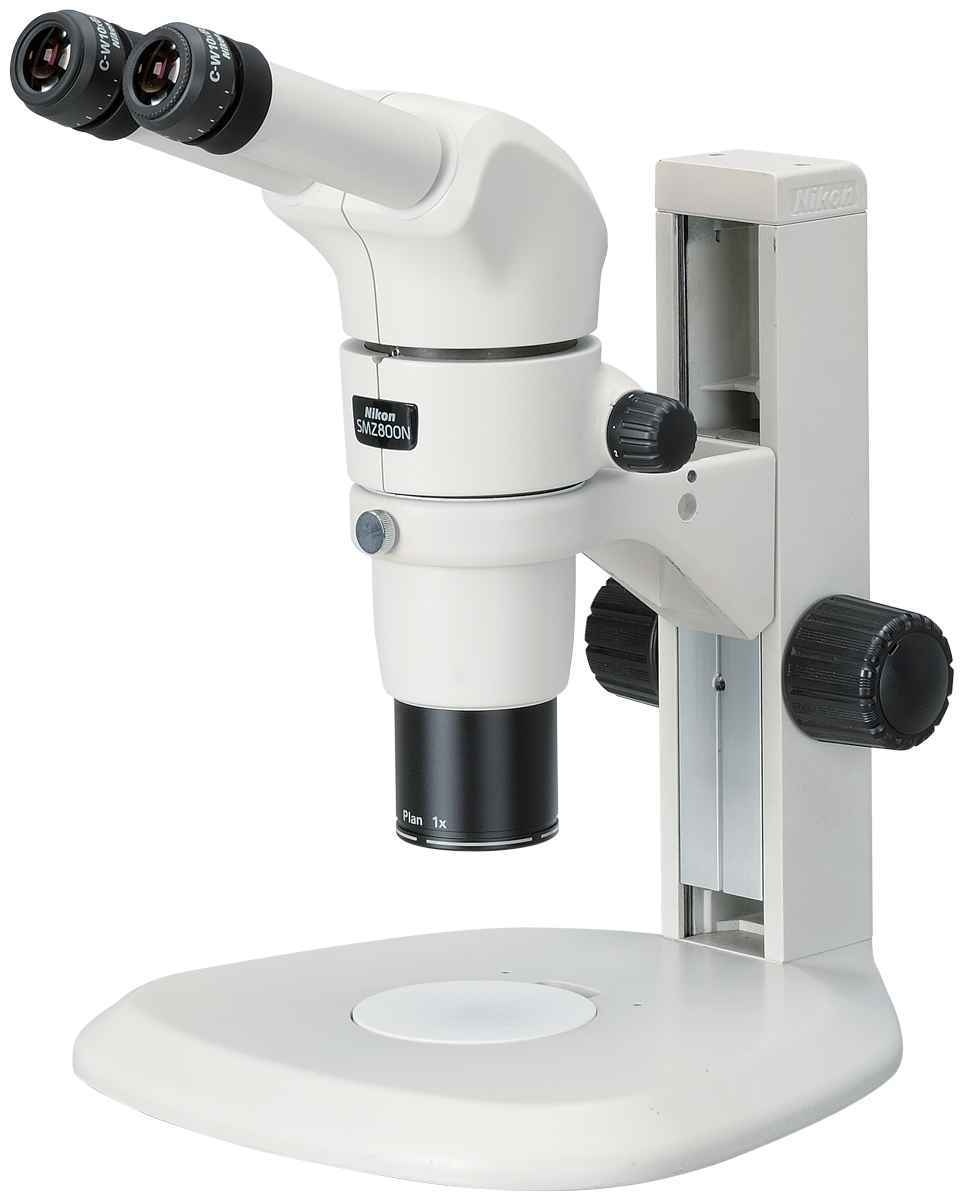 尼康SMZ800N体式显微镜的图片