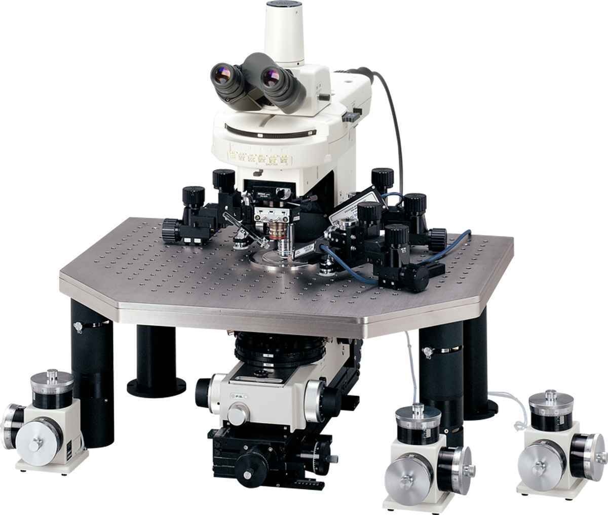 尼康Eclipse FN1正置显微镜的图片