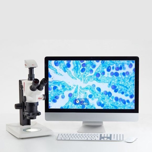 徕卡S APO体视显微镜的图片