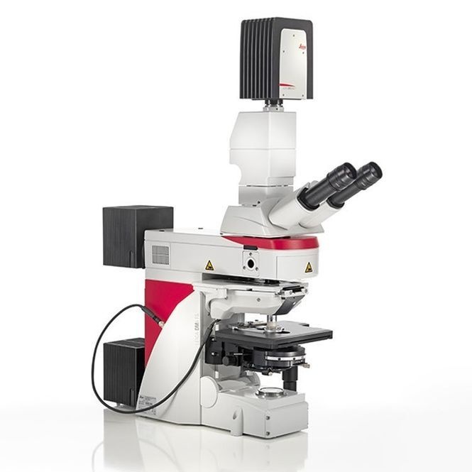 徕卡生物显微镜DM6 FS的图片