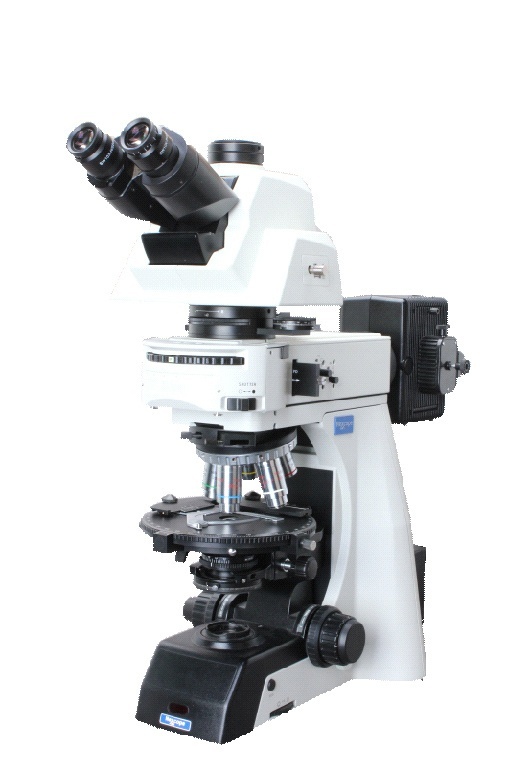 偏光显微镜NP900的图片