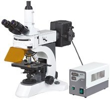 实验室荧光显微镜的图片